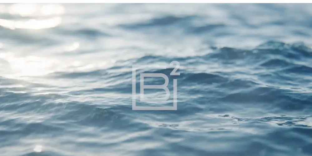 Bryan Bremer Designs website